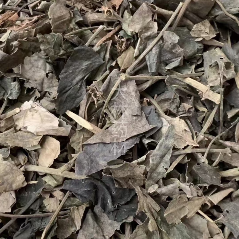石楠藤【包邮】三斤起发货可批量可零售量大从优
