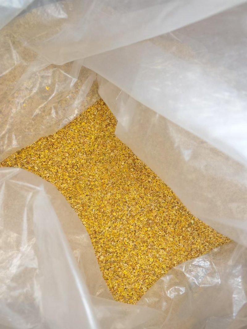 干桂花桂林全州县绍水镇锋哥各种种品种干桂花