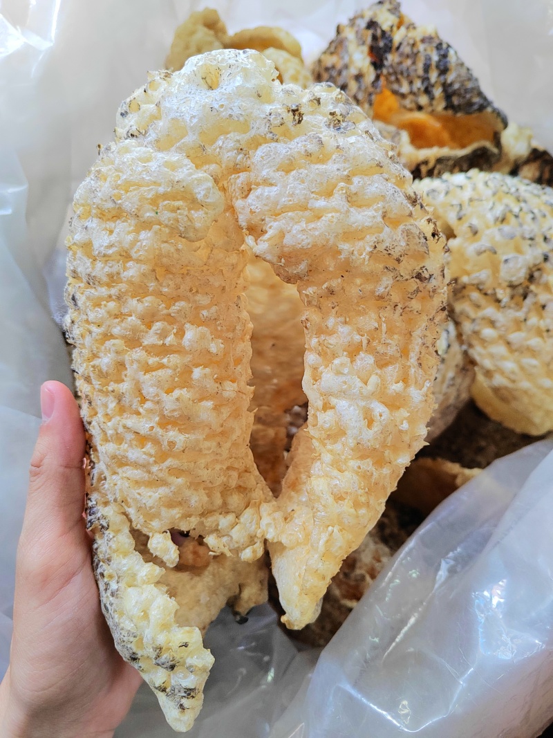 盐爆刺龟皮厚肉很鲜，爽口，放点瑶柱一点鸡肉都很鲜甜