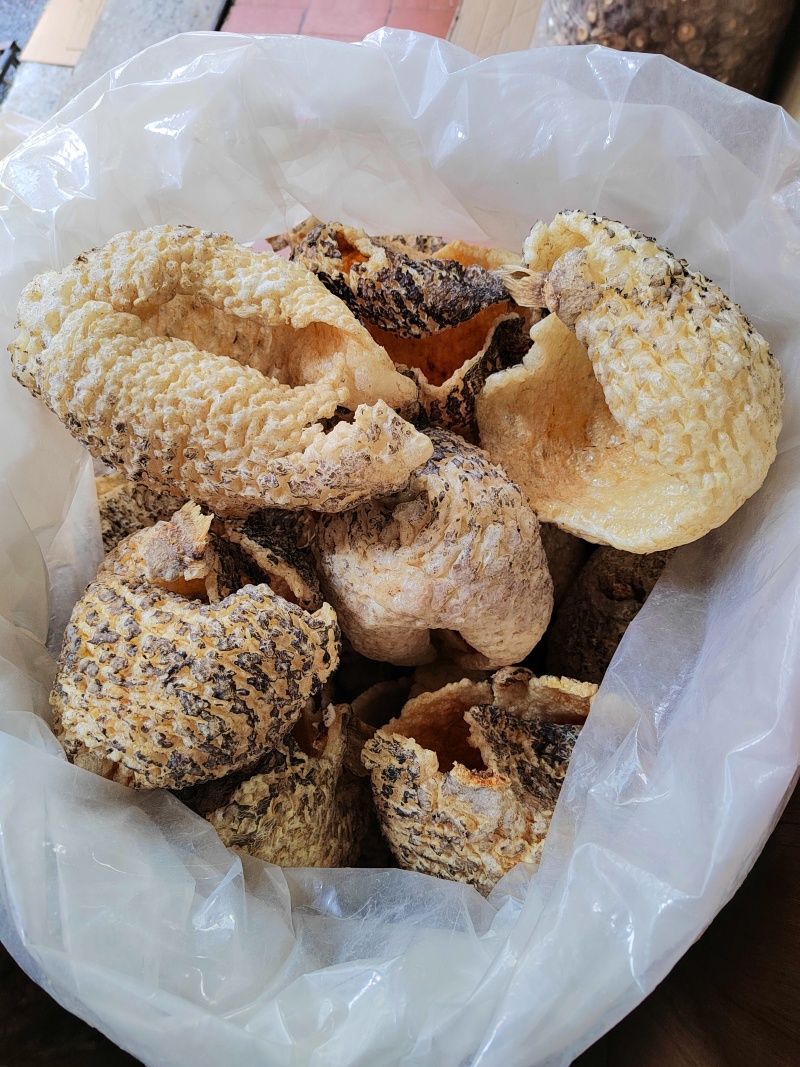 盐爆刺龟皮厚肉很鲜，爽口，放点瑶柱一点鸡肉都很鲜甜