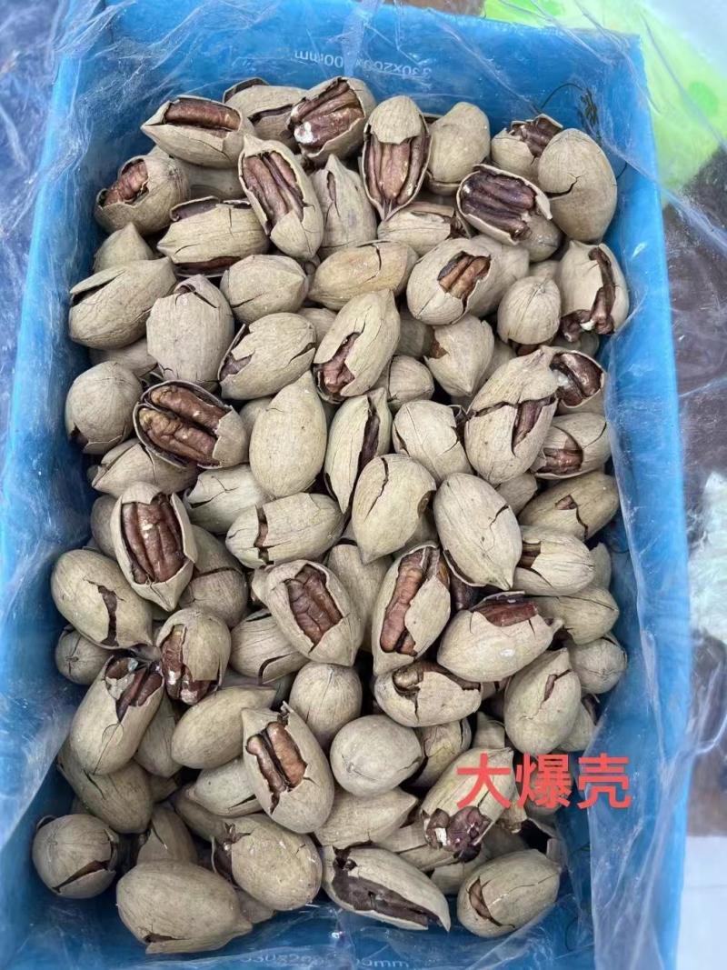 碧根果大量现货产地直发品质保证价格漂亮一手货源