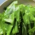台湾山苏菜