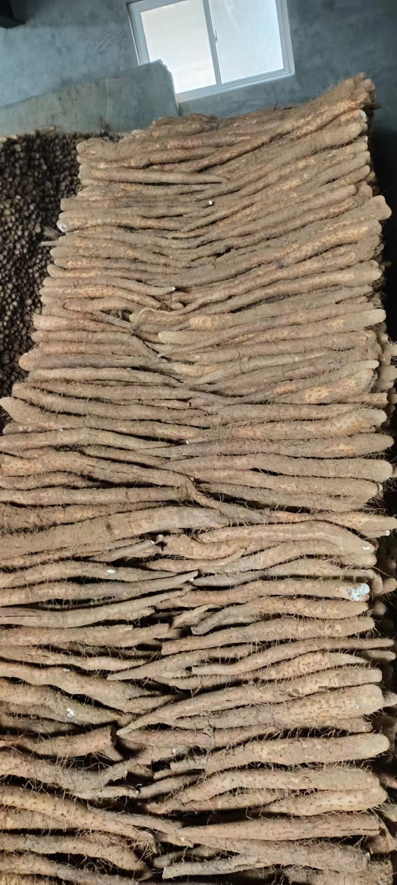 白玉山药/小白嘴白山药质量三包/全年有货/欢迎来电咨询
