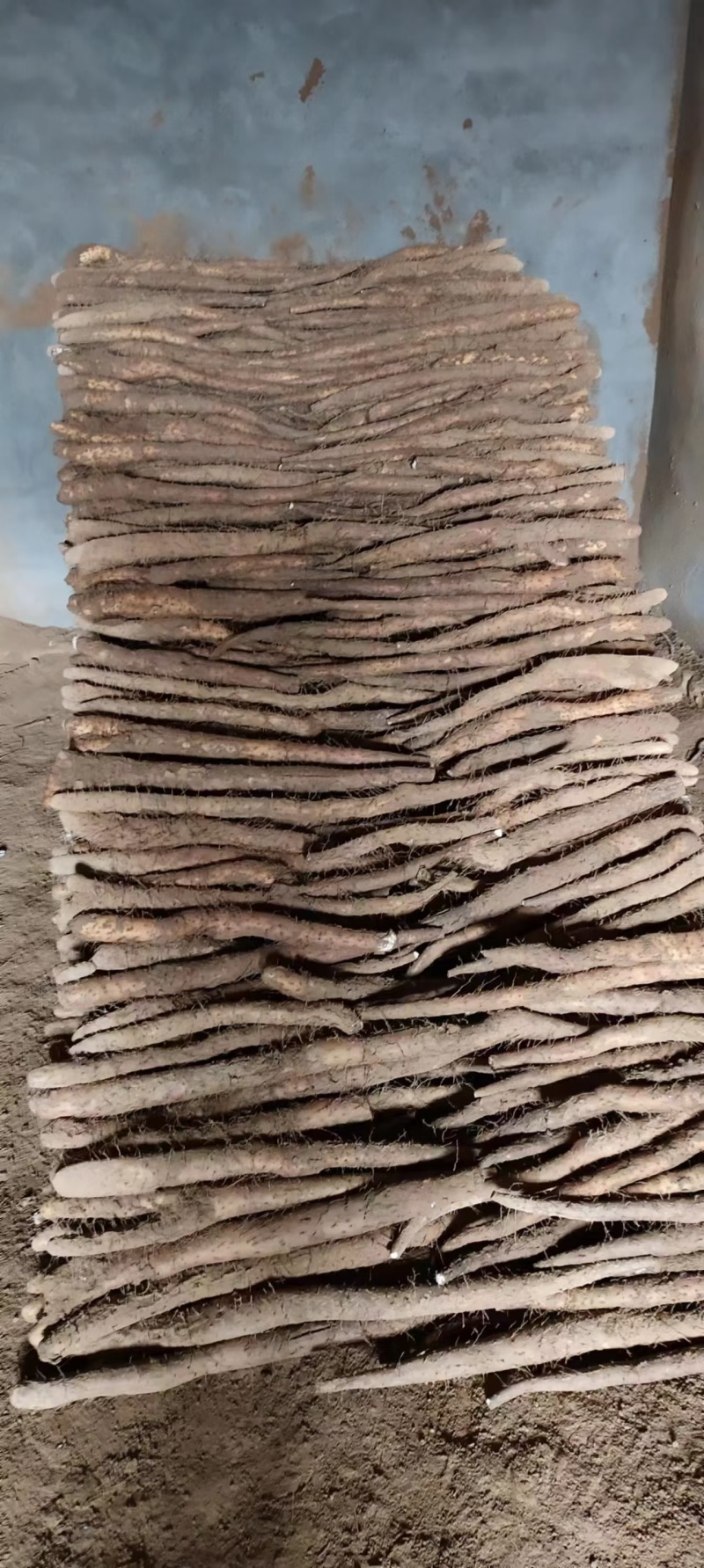 白玉山药/小白嘴白山药质量三包/全年有货/欢迎来电咨询