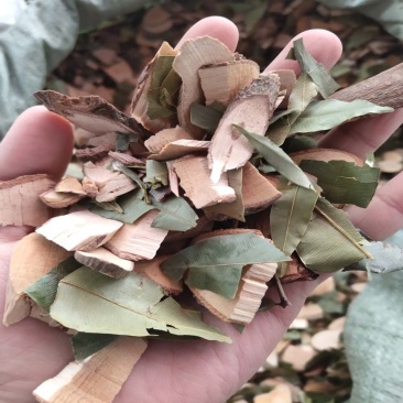 横经席1公斤中药材横茎席骨碎莲中草药干货