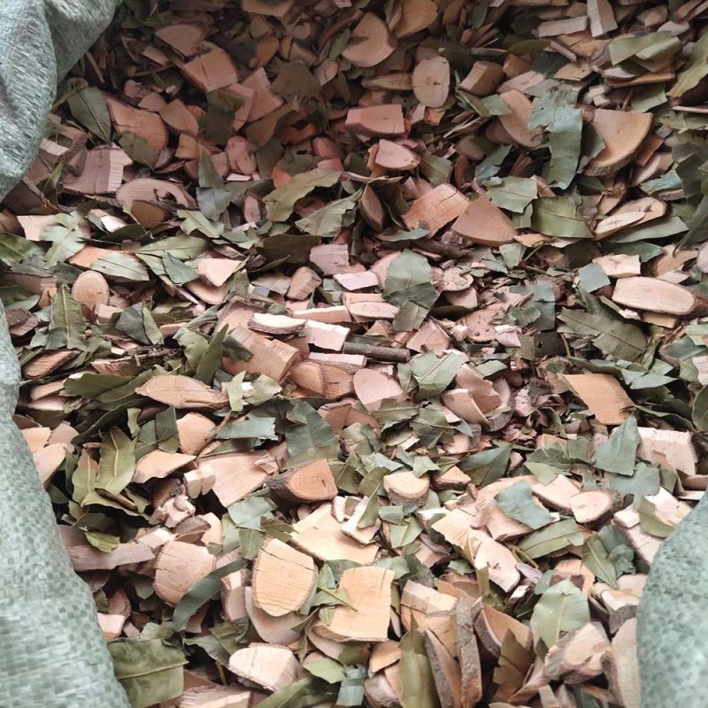 横经席1公斤中药材横茎席骨碎莲中草药干货