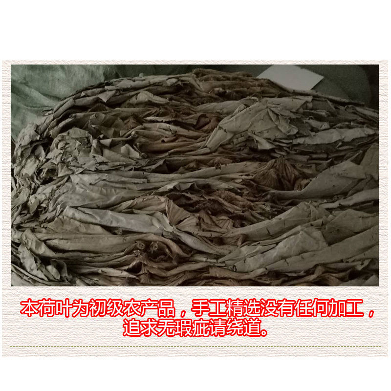 整张荷叶1公斤大张江西整张天然干荷叶