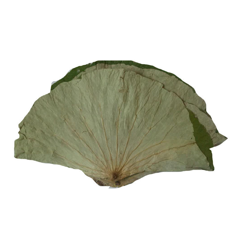 整张荷叶1公斤大张江西整张天然干荷叶