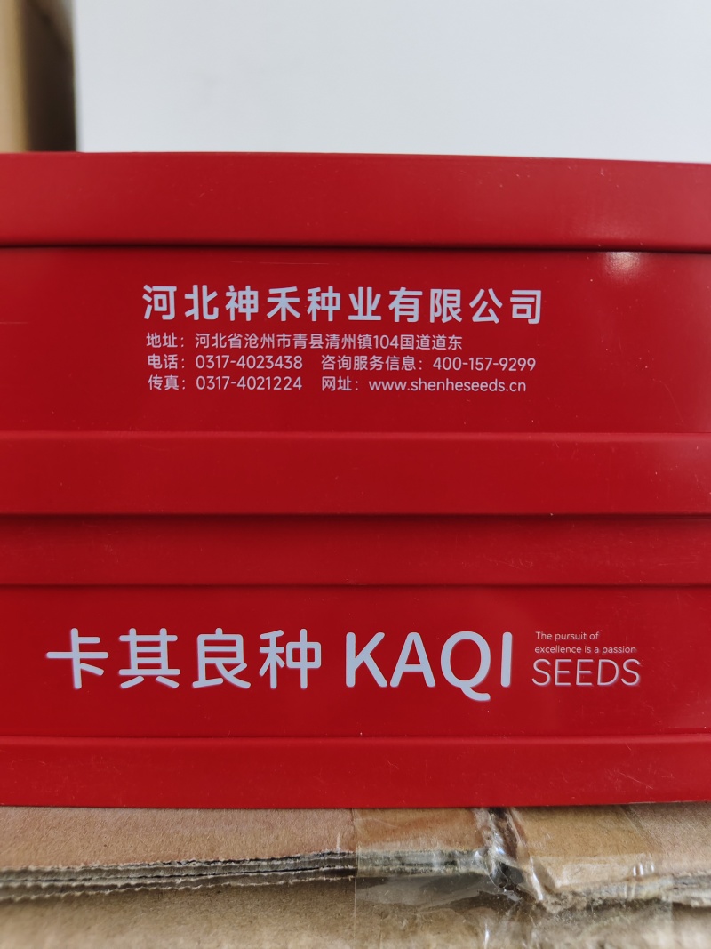 懒汉硒砂大瓜西瓜种子大果耐重茬硒砂瓜种子高糖质脆甘甜籽小