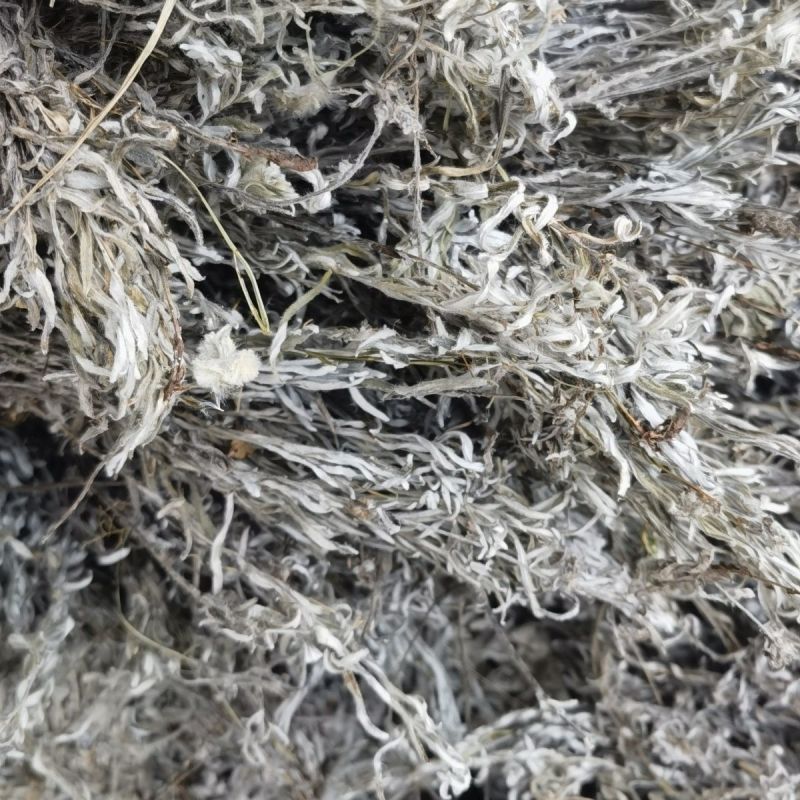 老头草1公斤整颗晒干干火绒草老头草薄雪草中草药