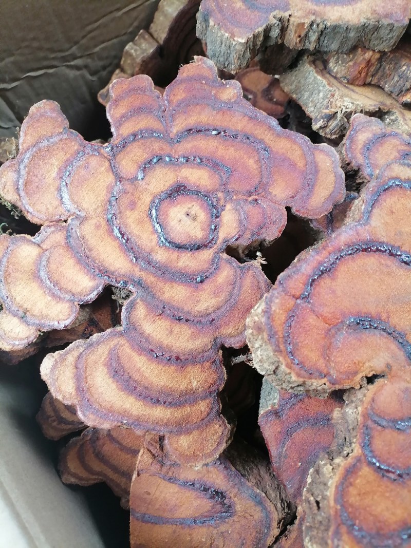 网红直播大片厚片鸡血藤中药批发产地直销