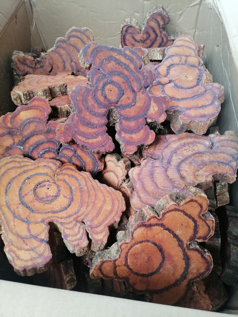 网红直播大片厚片鸡血藤中药批发产地直销