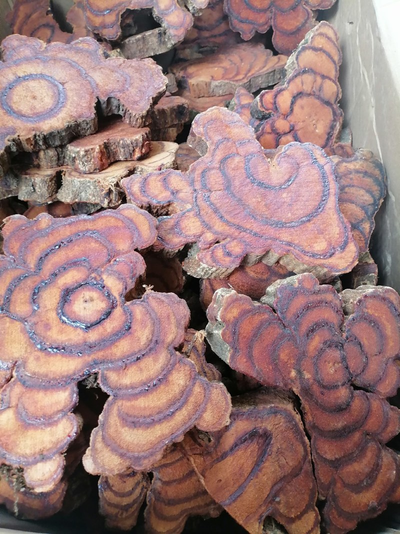 网红直播大片厚片鸡血藤中药批发产地直销