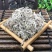 老头草1公斤东北老头草新货