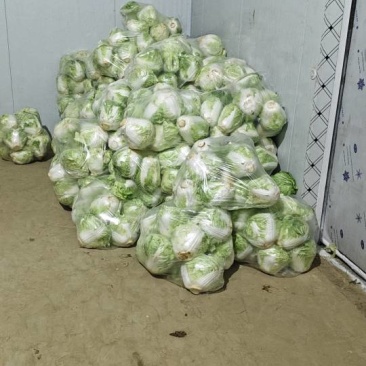 新乡小包精品菜