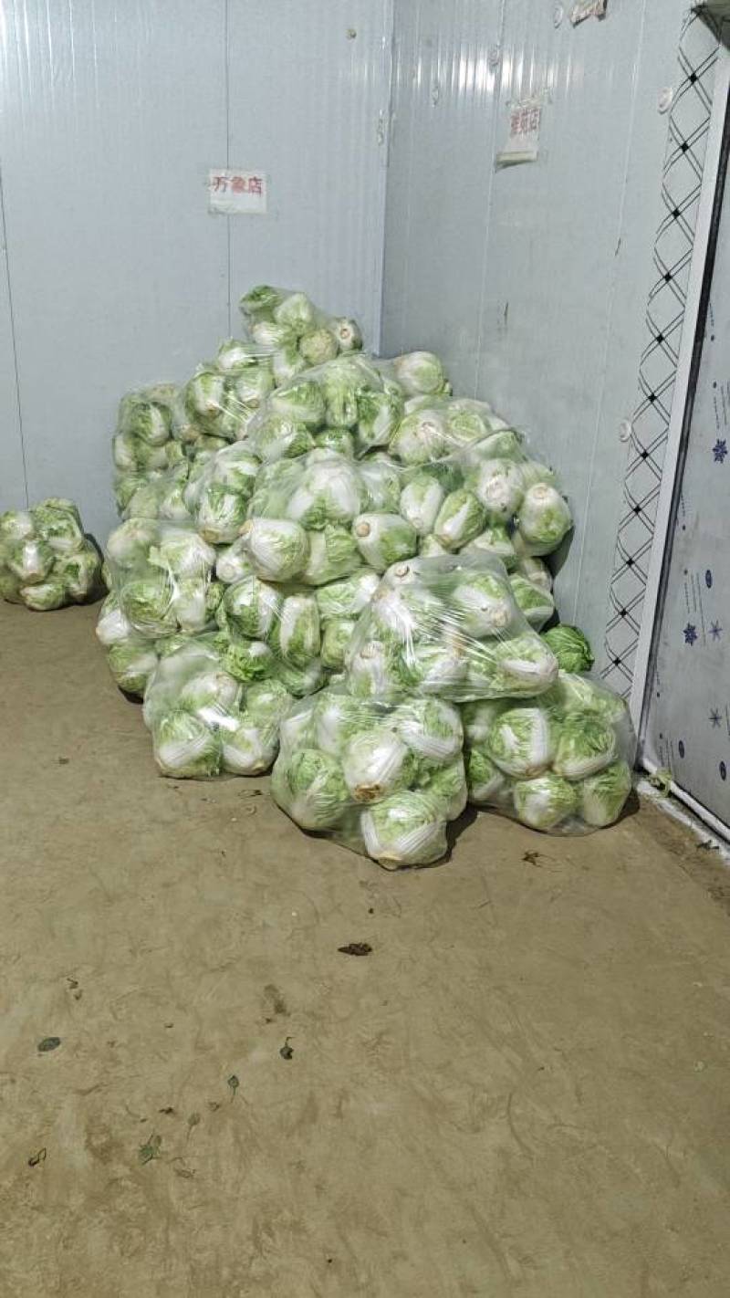 新乡小包精品菜