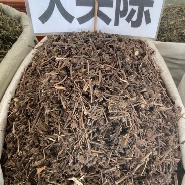 大头陈1公斤捶草乌头风地松茶