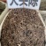 大头陈1公斤捶草乌头风地松茶