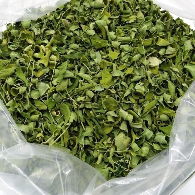 辣木叶1公斤辣木干叶片自然晾晒辣木叶茶云南