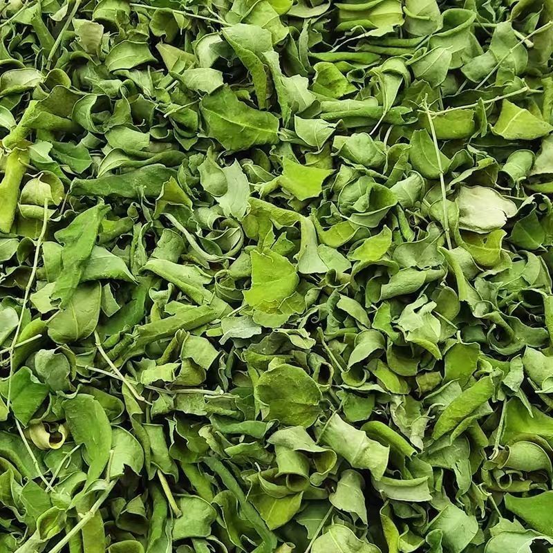 辣木叶1公斤辣木干叶片自然晾晒辣木叶茶云南