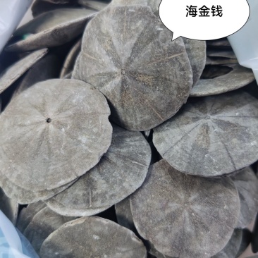 海金钱1公斤中药材海金钱