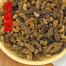 青桑葚1公斤新疆黄桑葚干生桑椹干白桑葚干另有黑桑葚