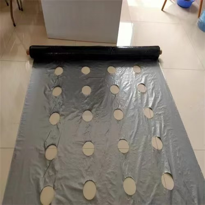 地膜，打孔地膜，粉防已专用地膜，可定制，源头厂家
