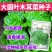 木耳菜种子大圆叶叶片肥厚叶片扁圆形耐热耐耐湿