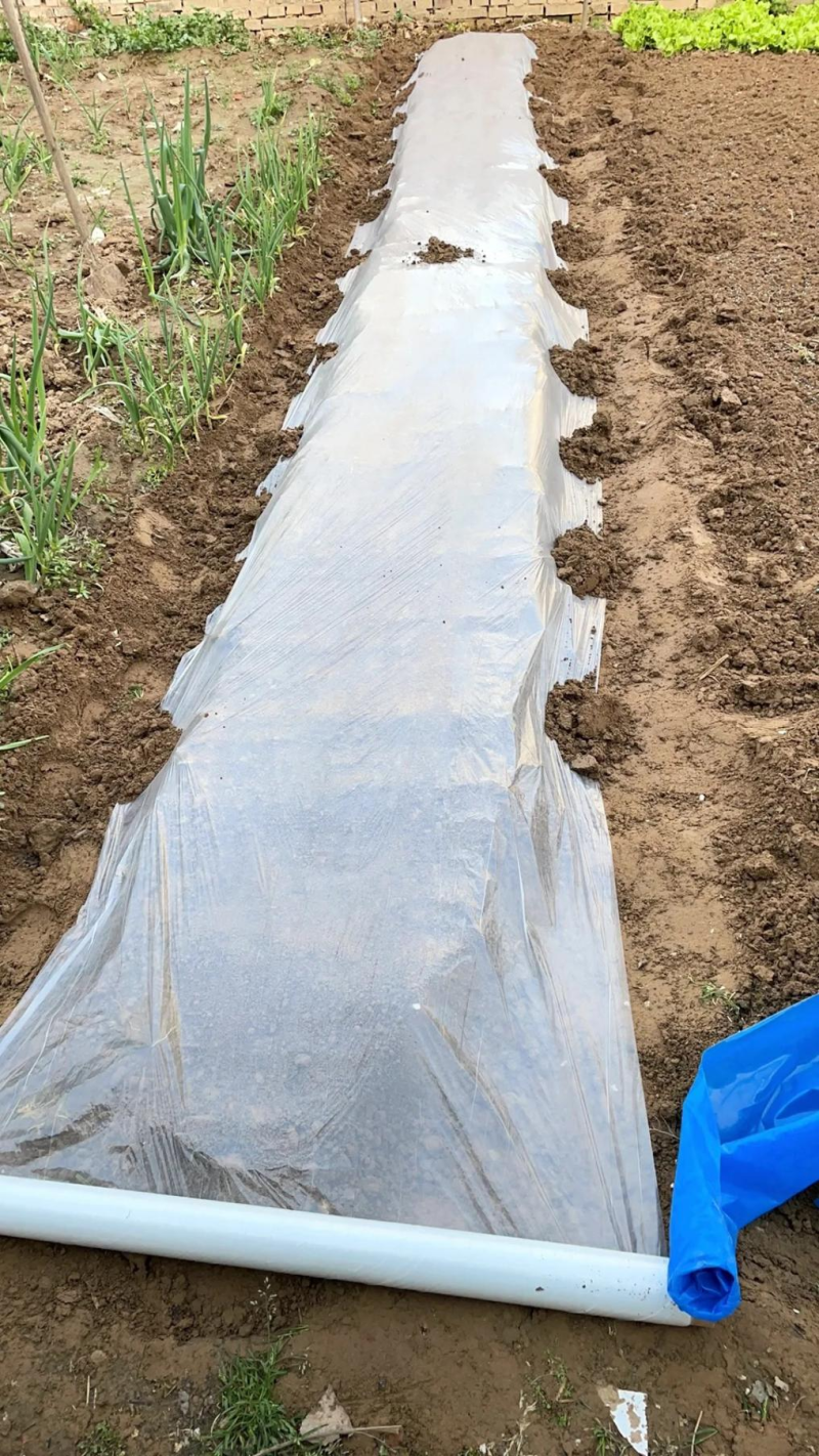 地膜透明地膜黑色地膜打孔地膜白色地膜