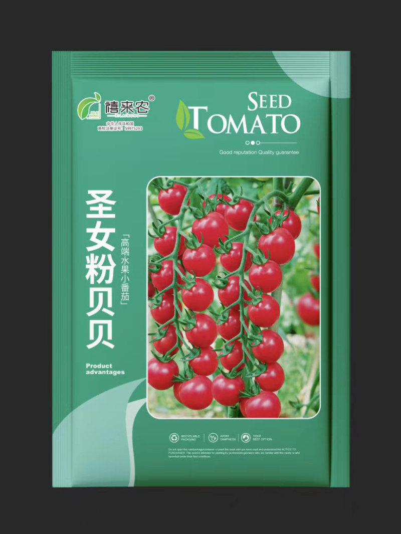 圣女果粉贝贝番茄樱桃种子早熟果实粉红亮丽圆形