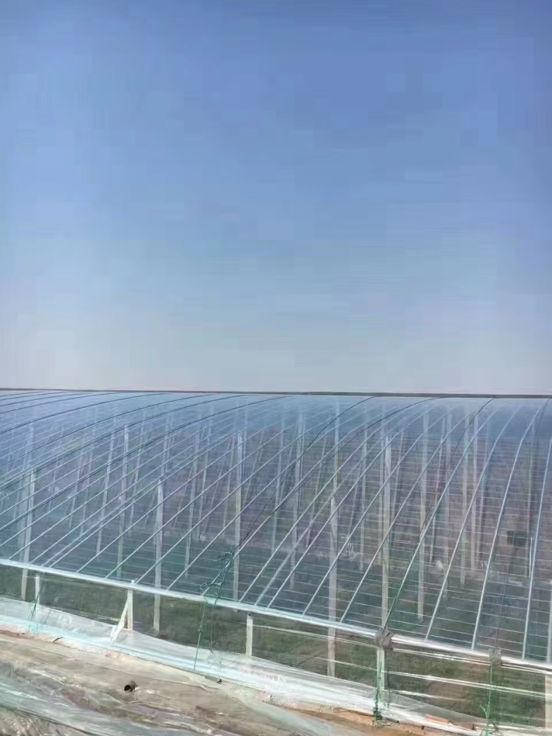 《厂家直发》实力大棚膜5+1竞品PO膜1-18米