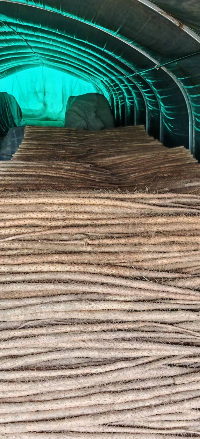 河南精品铁杆山药大通货、二路货、规格齐全，欢迎咨询