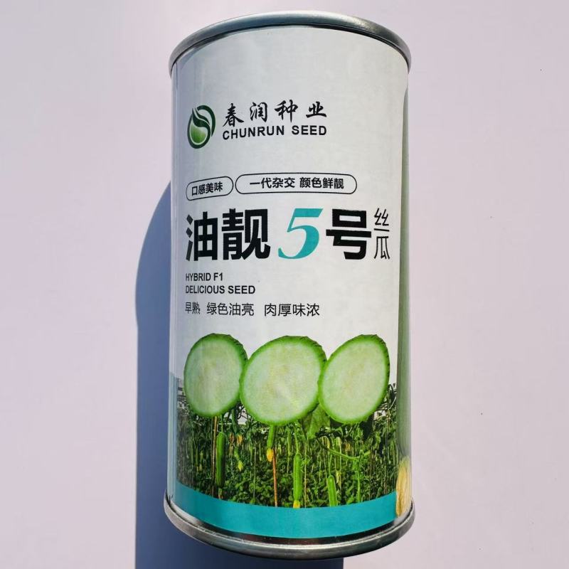 短棒油亮香丝瓜种子油靓5号香丝瓜种子早熟油绿丝瓜种籽