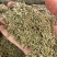 伏牛山野侧柏叶，干货，量大价格可谈，可长期供货。