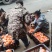 【优选好果】湖南纽荷尔脐橙新鲜上市，基地现货直发全国