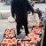 【优选好果】湖南纽荷尔脐橙新鲜上市，基地现货直发全国
