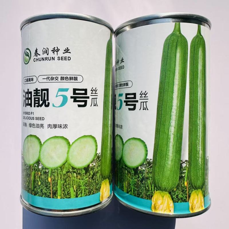 春润油亮丝瓜油靓5号丝瓜种子早熟短棒油亮香丝瓜种子高产瓜