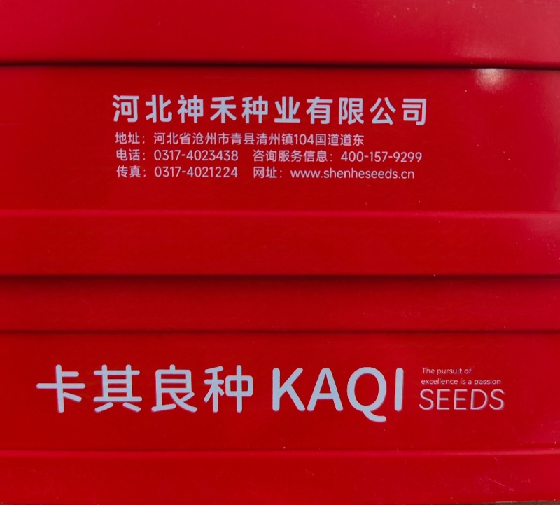 懒汉硒砂大瓜种子大果耐重茬硒砂瓜种子高糖质脆甘甜籽小西瓜