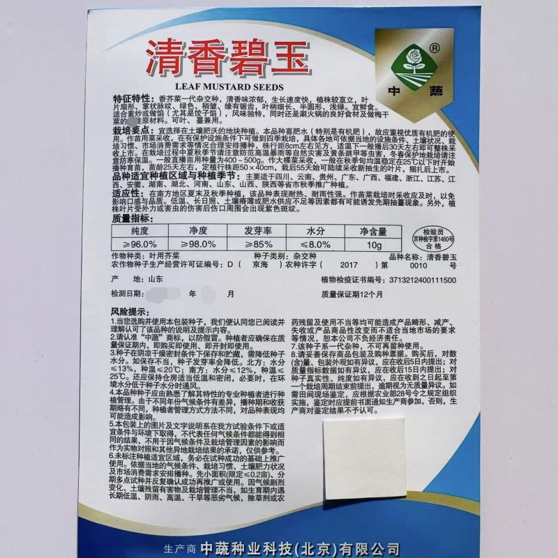 中蔬清香碧玉香芥菜种子饺子菜种籽春秋特色四季阳台蔬菜