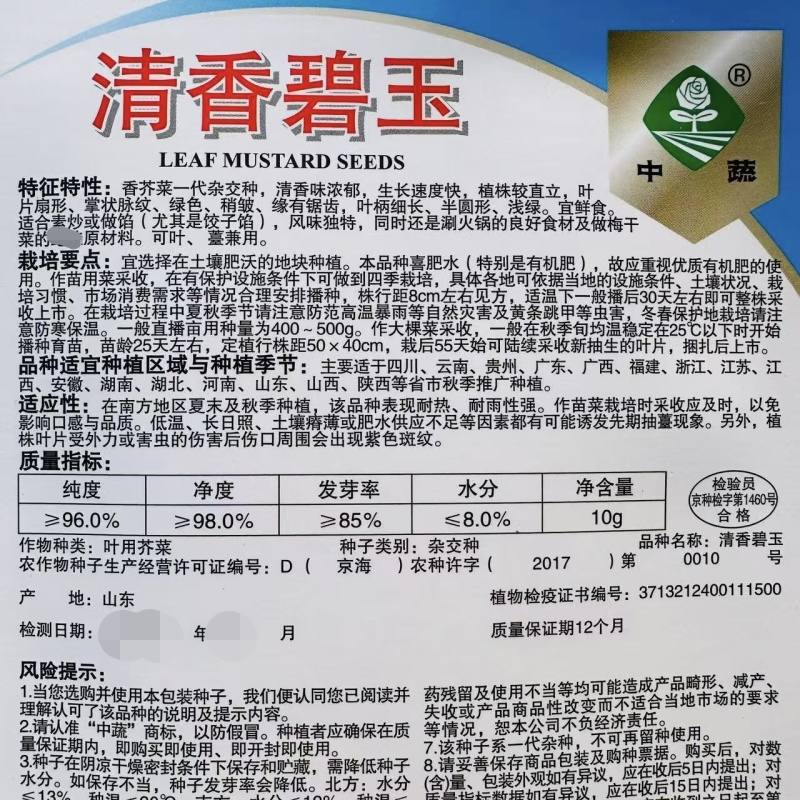中蔬清香碧玉香芥菜种子饺子菜种籽春秋特色四季阳台蔬菜
