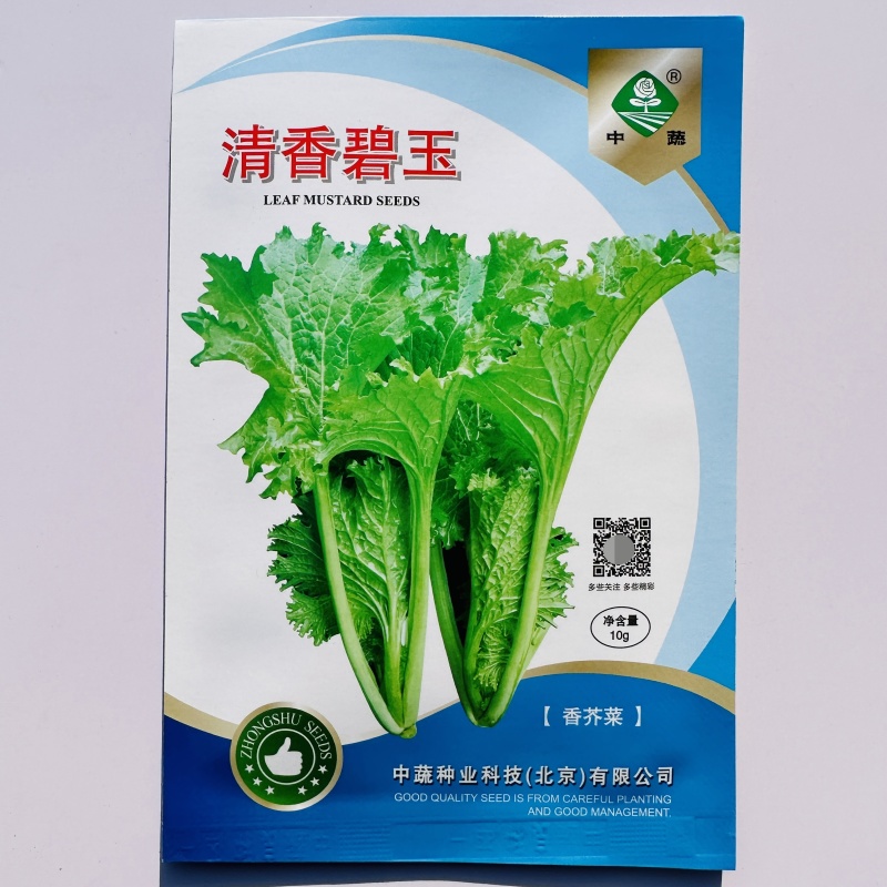 中蔬清香碧玉香芥菜种子饺子菜种籽春秋特色四季阳台蔬菜