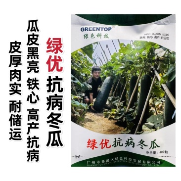 绿优抗病冬瓜种子黑亮铁心冬瓜种子耐热高产黑皮大冬瓜种籽