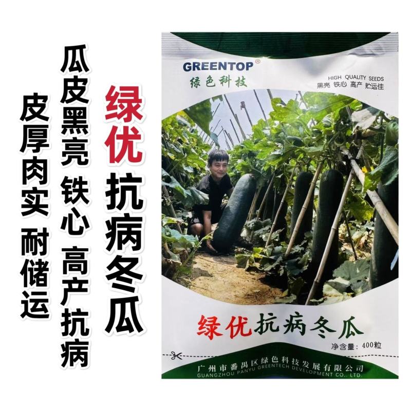 绿优抗病冬瓜种子黑亮铁心冬瓜种子耐热高产黑皮大冬瓜种籽