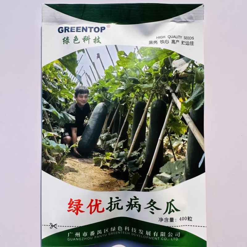 绿优抗病冬瓜种子黑亮铁心冬瓜种子耐热高产黑皮大冬瓜种籽