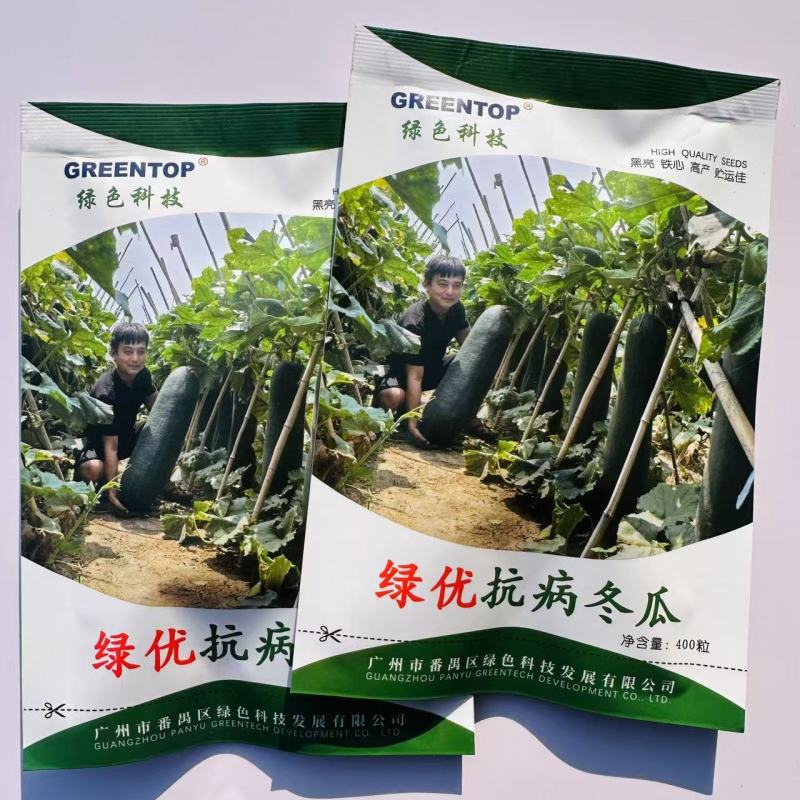 绿优抗病冬瓜种子黑亮铁心冬瓜种子耐热高产黑皮大冬瓜种籽