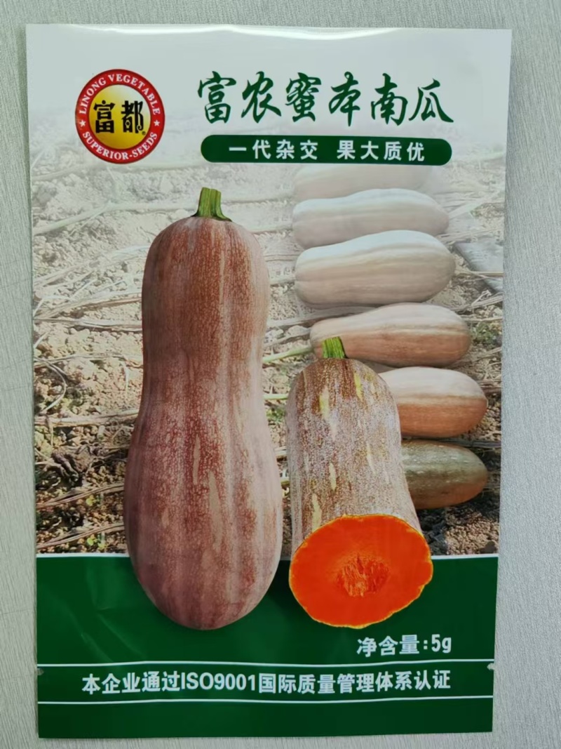 南瓜种子富农蜜本南瓜肉厚大果高产红肉腔小适应强