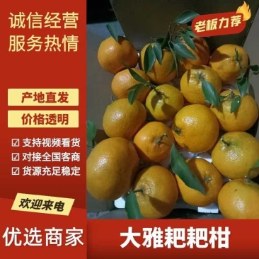 【爆】四川武胜大雅柑耙耙柑，口感纯正，入口化渣可对接电商