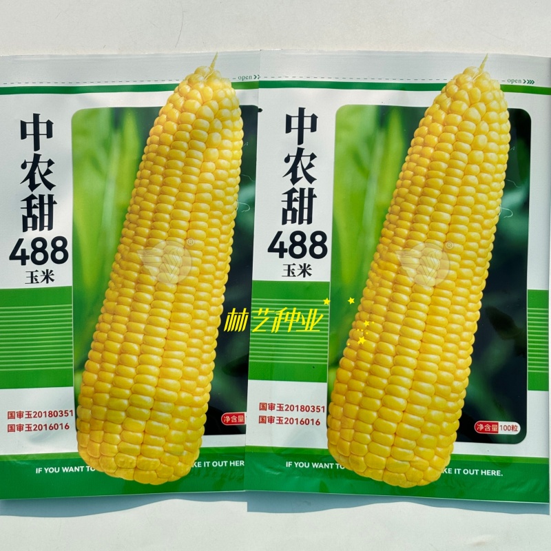 中农甜488牛奶香超甜水果玉米种子冰糖脆糯四季春种籽