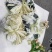 10000条女装内裤纯棉2.99清，分货➕0.5