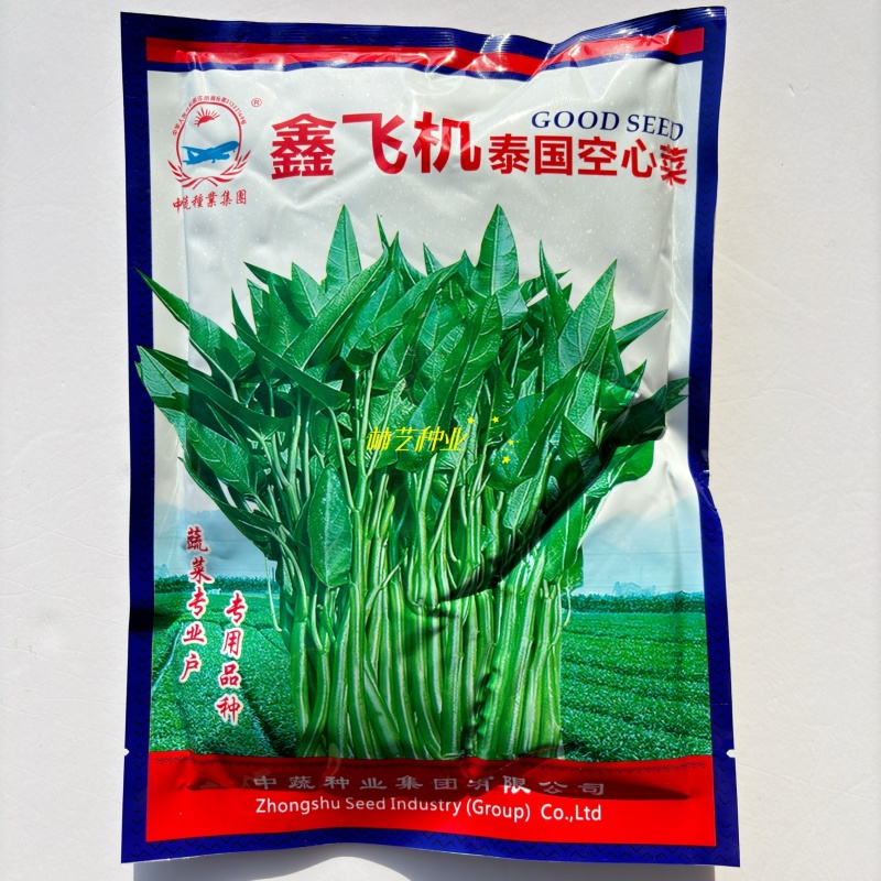 鑫飞机泰国竹叶空心菜种子茎干青绿色耐热耐湿适应性强
